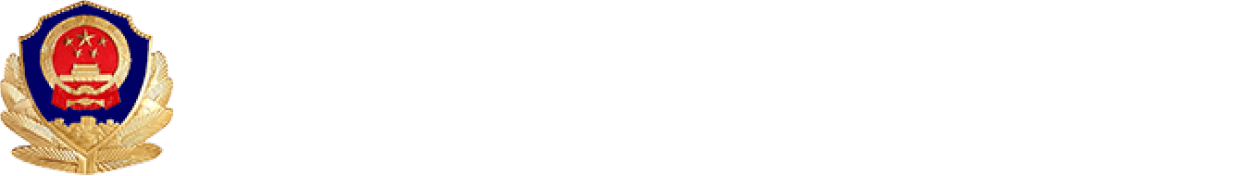 安徽省公安厅某安某某总队